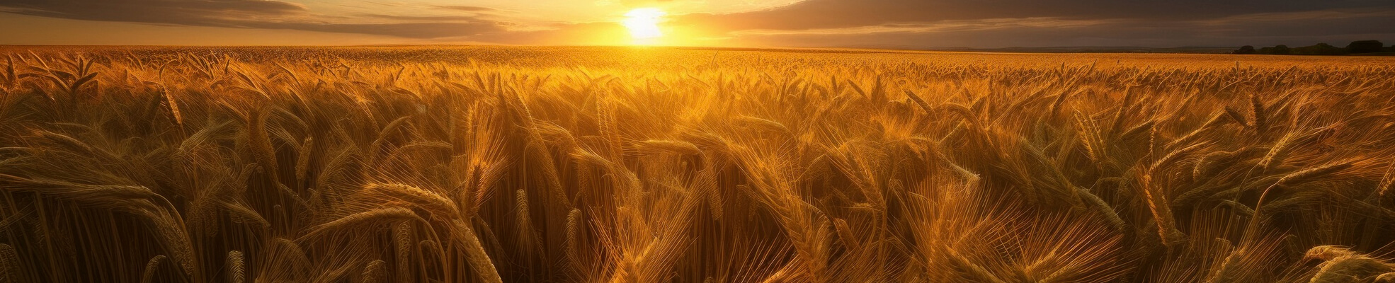 Bitumen - Soul N Quantam